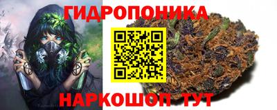 мяу мяу кристалл Камень-на-Оби